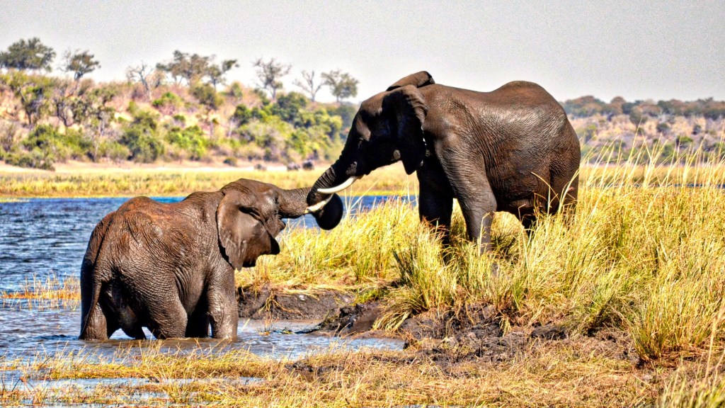 From Self-Sufficiency to Divine Dependence: Lessons Learned in&nbsp;Africa