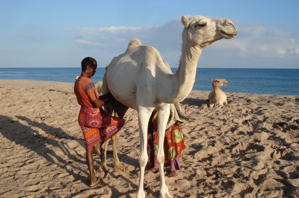 Why Africa Needs Gospel&nbsp;Workers