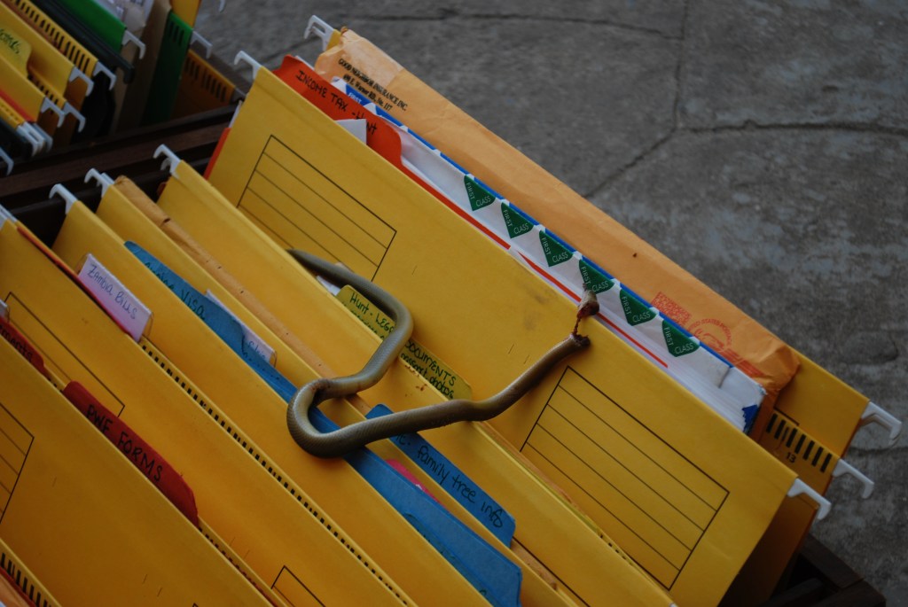 Stories For My Little Friends – The Surprise In The File&nbsp;Cabinet