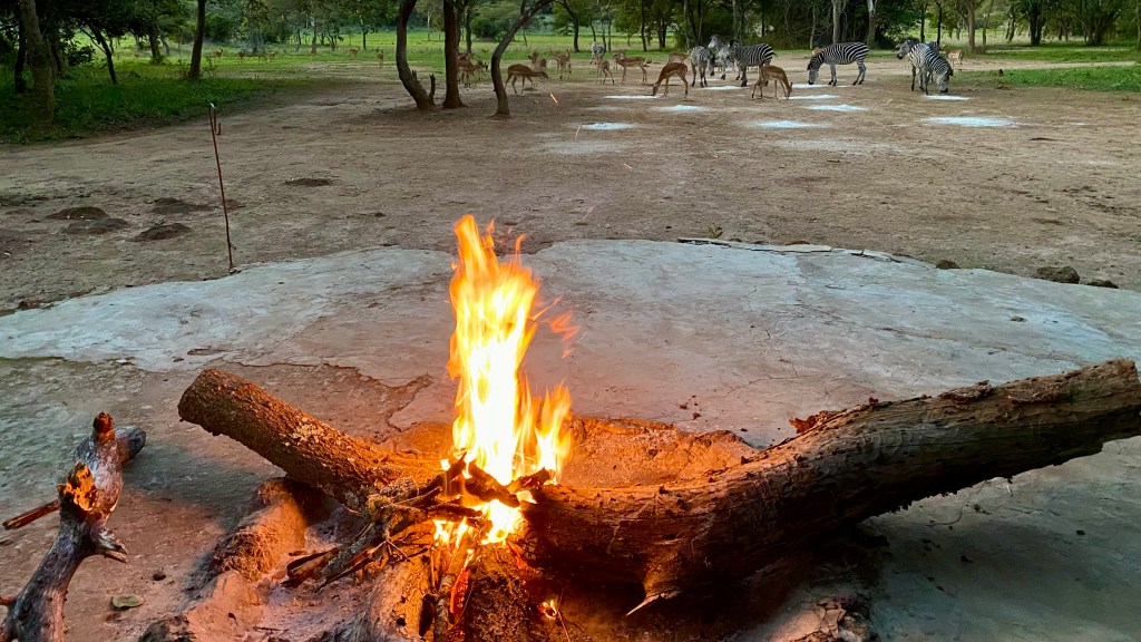 Igniting Purpose: Reconnecting with Our&nbsp;Mission