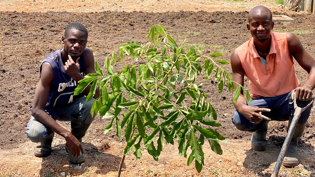 The Process of Ministry&nbsp;Pruning