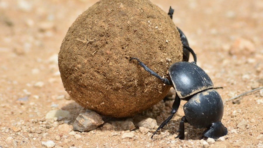 Don’t Waste Your&nbsp;Life