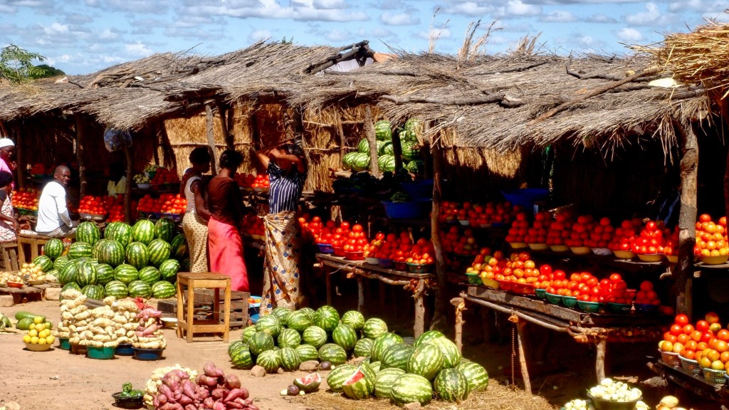 Living with Integrity and Bearing&nbsp;Fruit